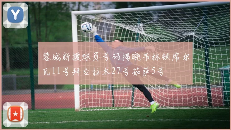 蓉城新援球员号码揭晓韦林顿席尔瓦11号拜合拉木27号茹萨5号