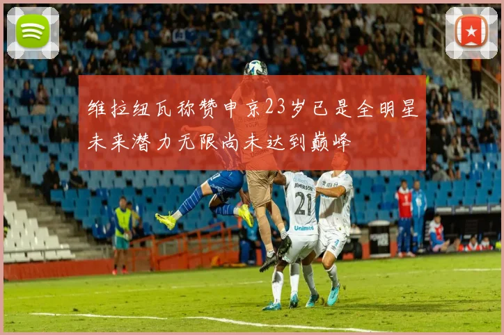 维拉纽瓦称赞申京23岁已是全明星未来潜力无限尚未达到巅峰